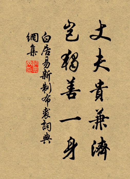 白居易丈夫贵兼济，岂独善一身书法作品欣赏