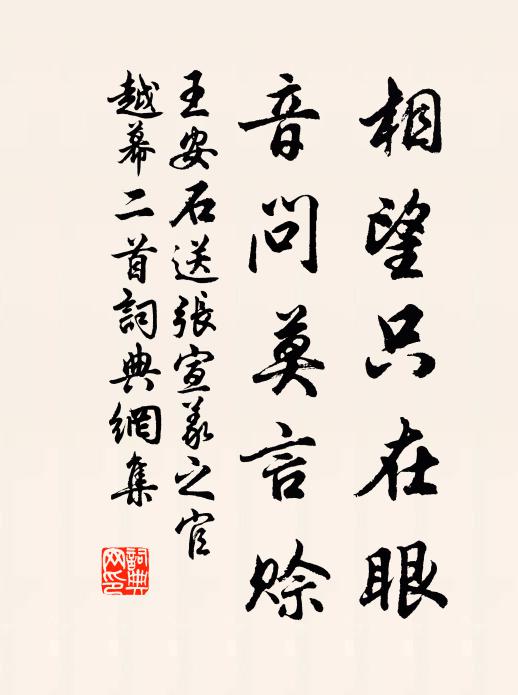 王安石相望只在眼，音问莫言赊书法作品欣赏