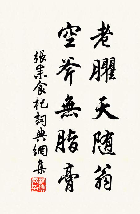 张耒老臞天随翁，空斧无脂膏书法作品欣赏