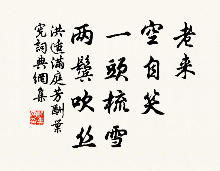 洪适老来，空自笑，一头梳雪，两鬓吹丝书法作品欣赏