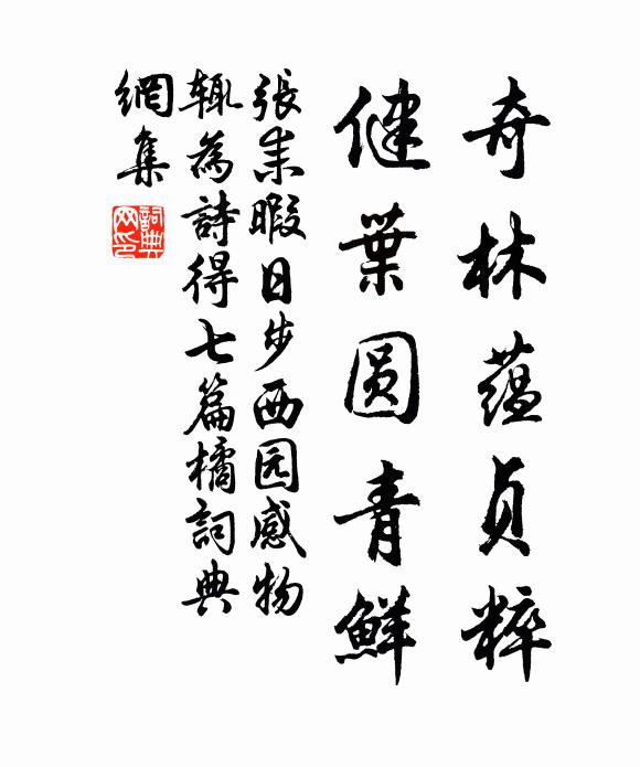 张耒奇林蕴贞粹，健叶圆青鲜书法作品欣赏