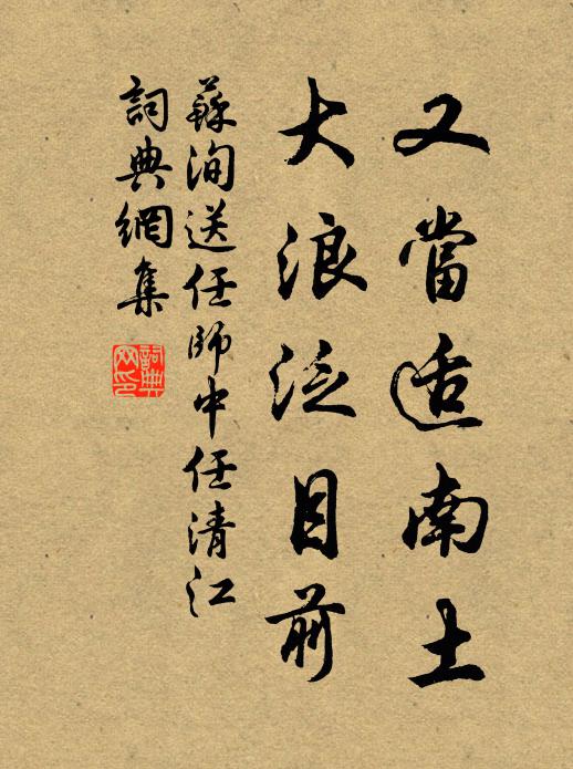 苏洵又当适南土，大浪泛目前书法作品欣赏