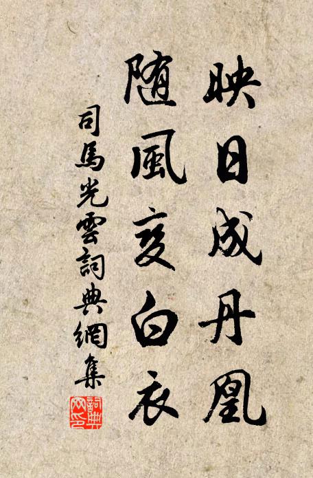 司马光映日成丹凰，随风变白衣书法作品欣赏