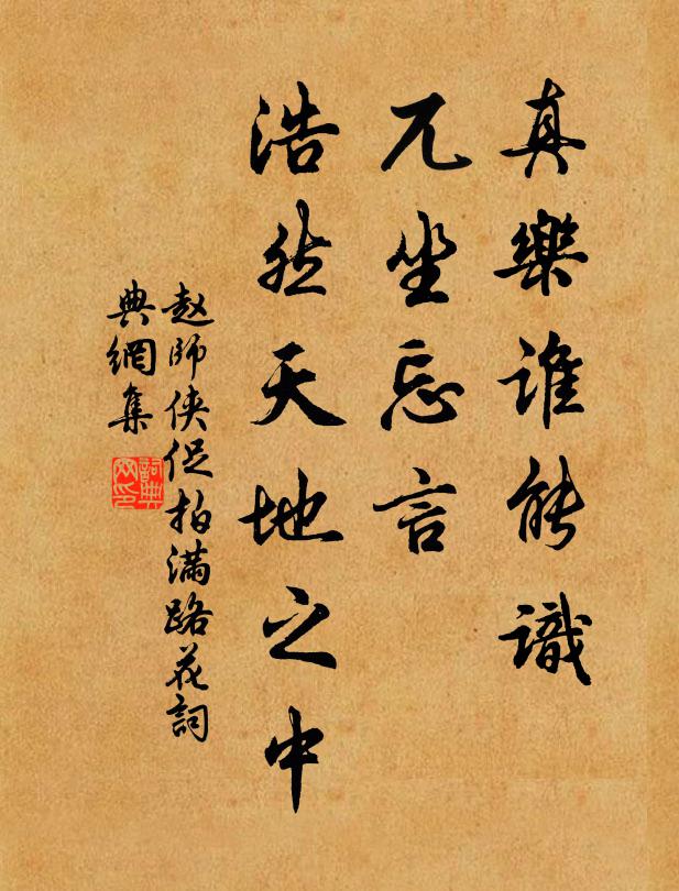 赵师侠真乐谁能识，兀坐忘言，浩然天地之中书法作品欣赏