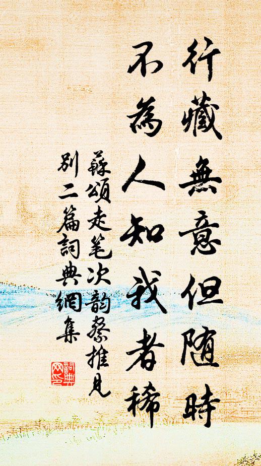 苏颂行藏无意但随时，不为人知我者稀书法作品欣赏