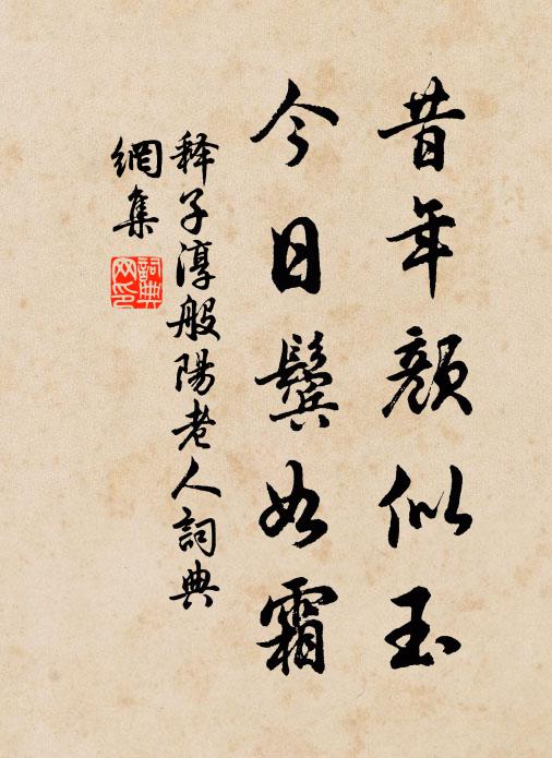 释子淳昔年颜似玉，今日鬓如霜书法作品欣赏