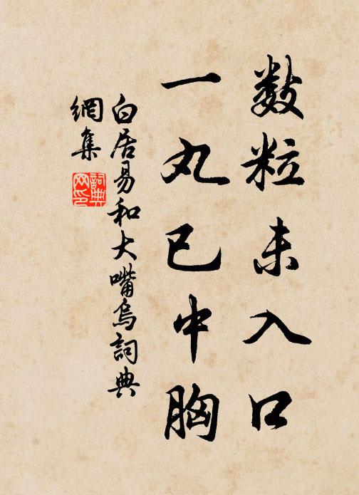 白居易数粒未入口,一丸已中胸书法作品欣赏