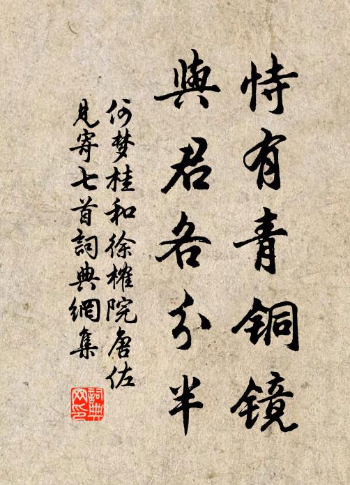 何梦桂恃有青铜镜，与君各分半书法作品欣赏