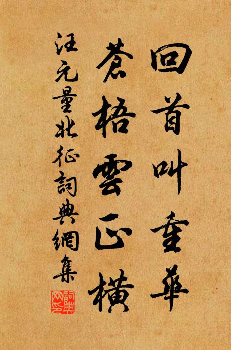 汪元量回首叫重华，苍梧云正横书法作品欣赏