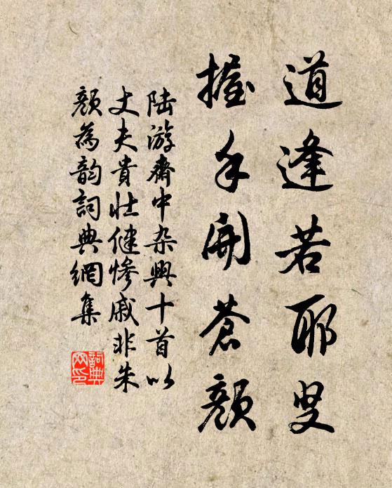 陆游道逢若耶叟，握手开苍颜书法作品欣赏