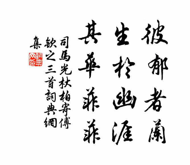 司马光彼郁者兰，生于幽涯，其华菲菲书法作品欣赏