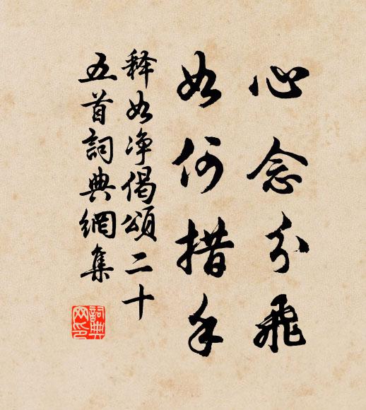 释如净心念分飞，如何措手书法作品欣赏