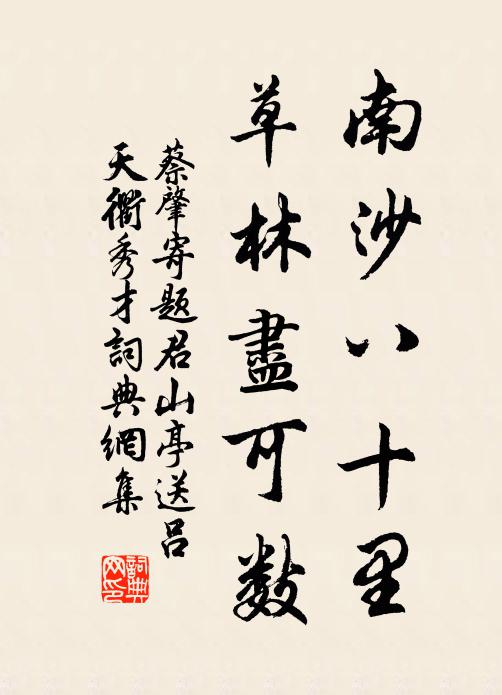 蔡肇南沙八十里,草林尽可数书法作品欣赏