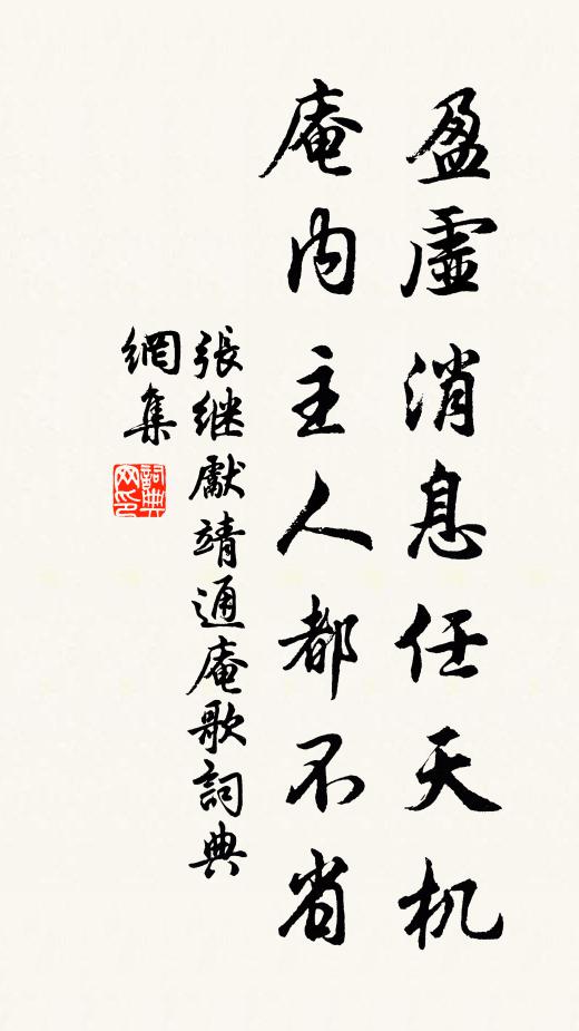 张继先盈虚消息任天机，庵内主人都不省书法作品欣赏