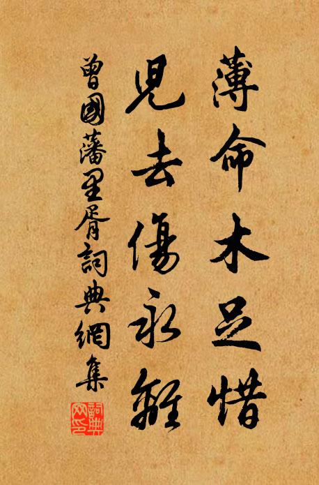 曾国藩薄命木足惜,儿去伤永离书法作品欣赏