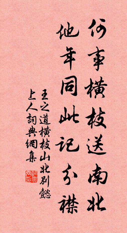 王之道何事横枝送南北，他年同此记分襟书法作品欣赏