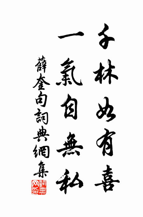 薛奎千林如有喜，一气自无私。书法作品欣赏