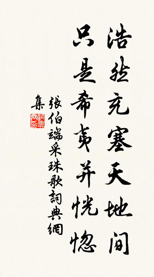 张伯端浩然充塞天地间，只是希夷并恍惚书法作品欣赏