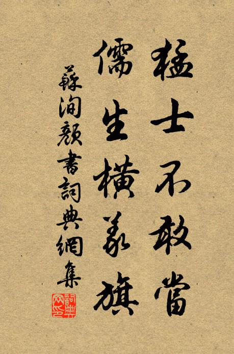 苏洵猛士不敢当，儒生横义旗书法作品欣赏