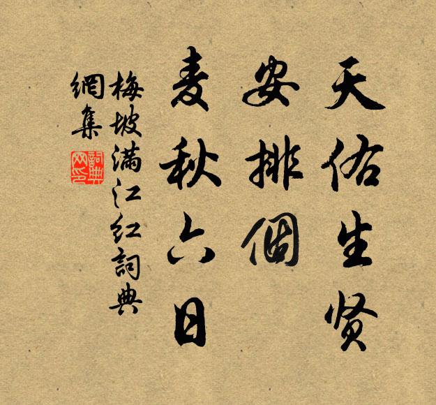 梅坡天佑生贤，安排个、麦秋六日书法作品欣赏