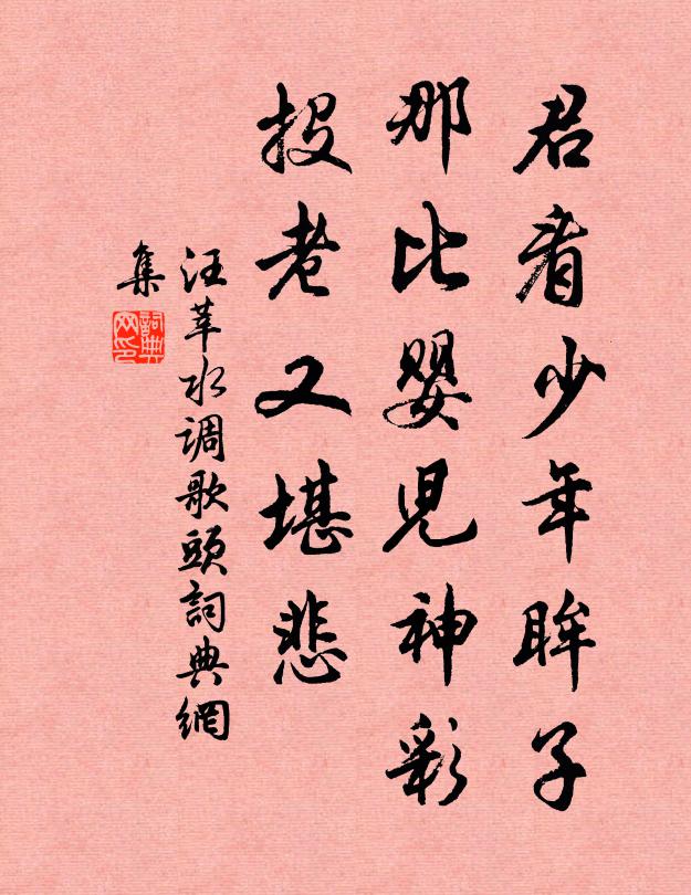 汪莘君看少年眸子，那比婴儿神彩，投老又堪悲书法作品欣赏