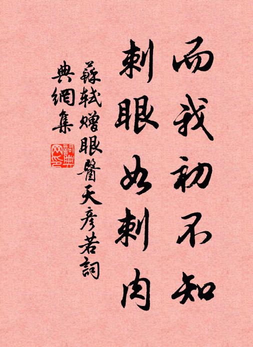 苏轼而我初不知，刺眼如刺肉书法作品欣赏