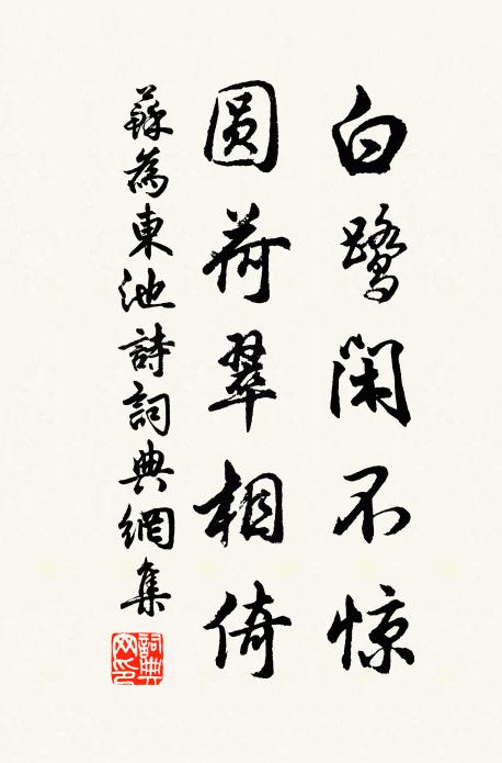 苏为白鹭闲不惊，圆荷翠相倚书法作品欣赏