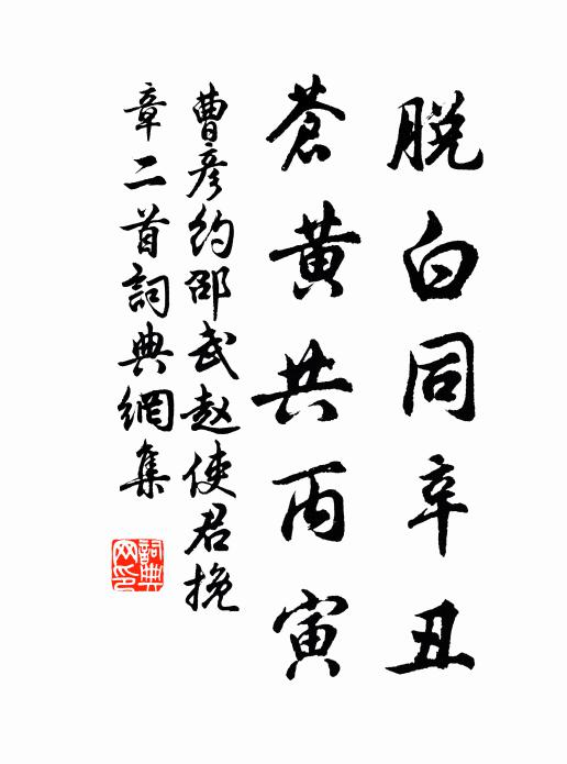 曹彦约脱白同辛丑，苍黄共丙寅书法作品欣赏