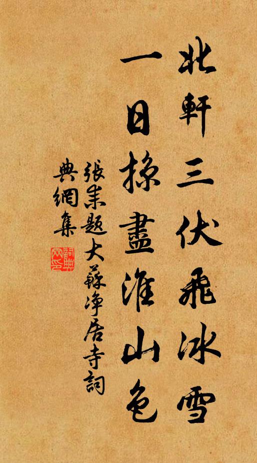 张耒北轩三伏飞冰雪，一日掠尽淮山色书法作品欣赏