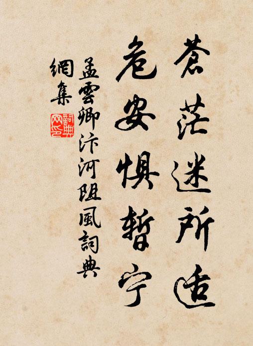 孟云卿苍茫迷所适，危安惧暂宁书法作品欣赏