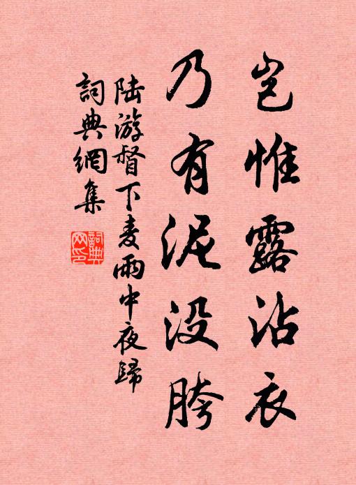 陆游岂惟露沾衣，乃有泥没胯书法作品欣赏