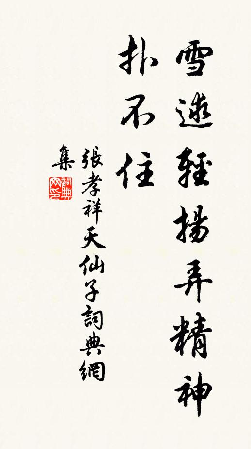 张孝祥雪逑轻扬弄精神，扑不住书法作品欣赏