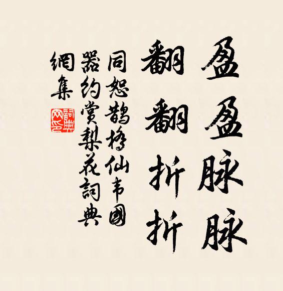同恕盈盈脉脉，翻翻折折书法作品欣赏