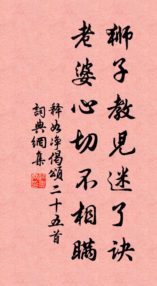 释如净狮子教儿迷了诀，老婆心切不相瞒书法作品欣赏