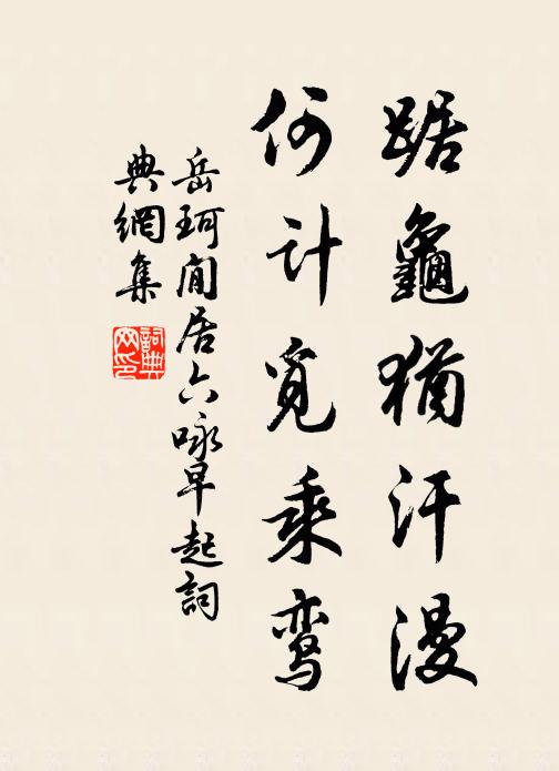 岳珂踞龟犹汗漫，何计觅乘鸾书法作品欣赏