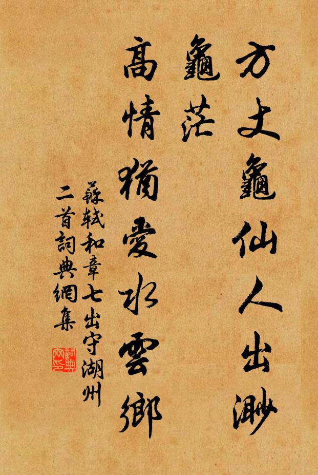 苏轼方丈龟仙人出渺龟茫，高情犹爱水云乡书法作品欣赏