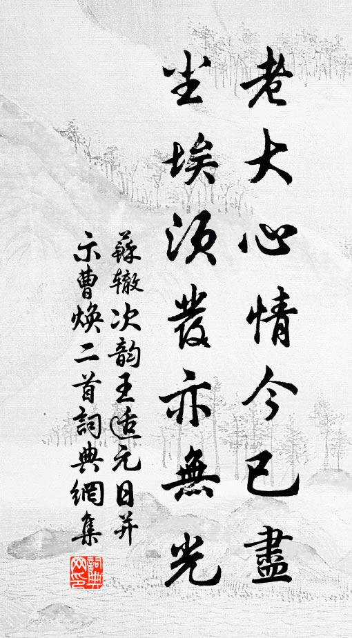 苏辙老大心情今已尽，尘埃须发亦无光书法作品欣赏