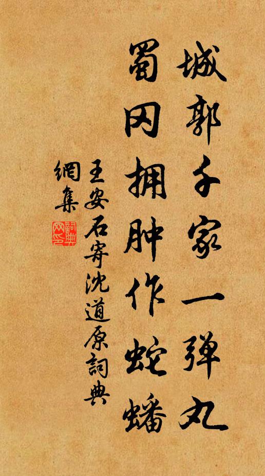 王安石城郭千家一弹丸，蜀冈拥肿作蛇蟠书法作品欣赏