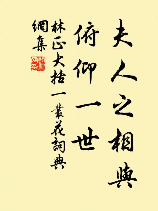 林正大夫人之相与，俯仰一世书法作品欣赏