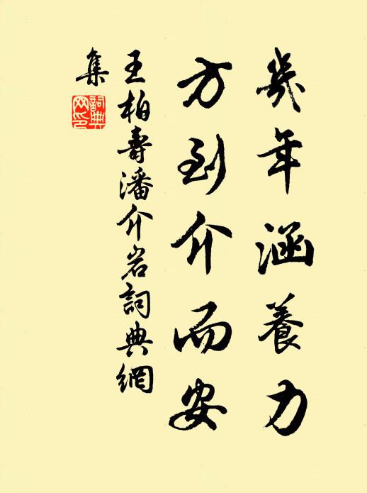 王柏几年涵养力，方到介而安书法作品欣赏