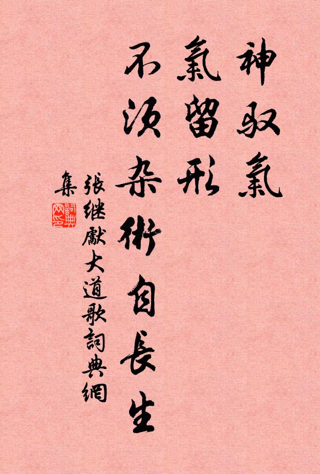 张继先神驭气，气留形，不须杂术自长生书法作品欣赏