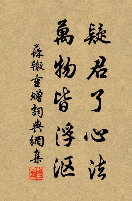 苏辙疑君了心法，万物皆浮沤书法作品欣赏