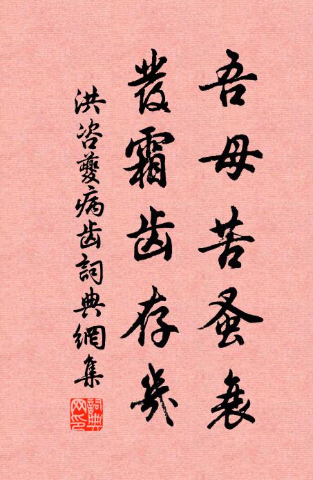 洪咨夔吾母苦蚤衰，发霜齿存几书法作品欣赏