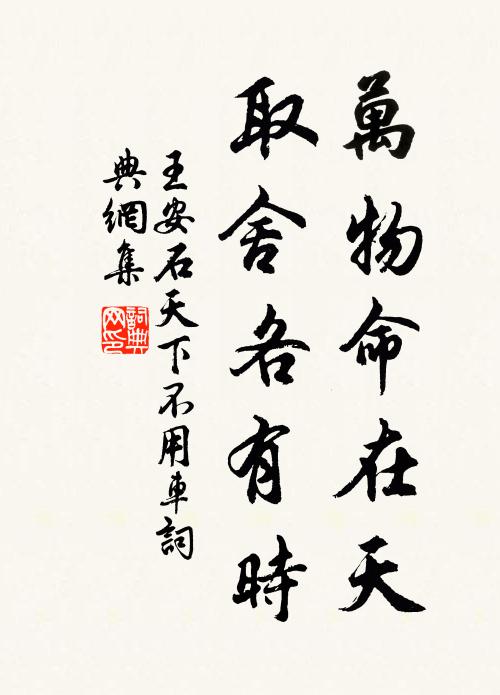王安石万物命在天，取舍各有时书法作品欣赏