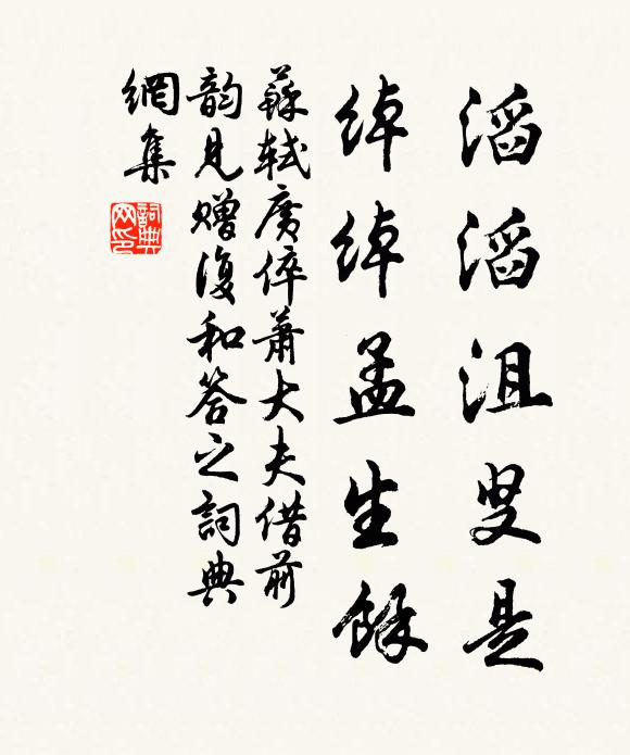 苏轼滔滔沮叟是，绰绰孟生余书法作品欣赏