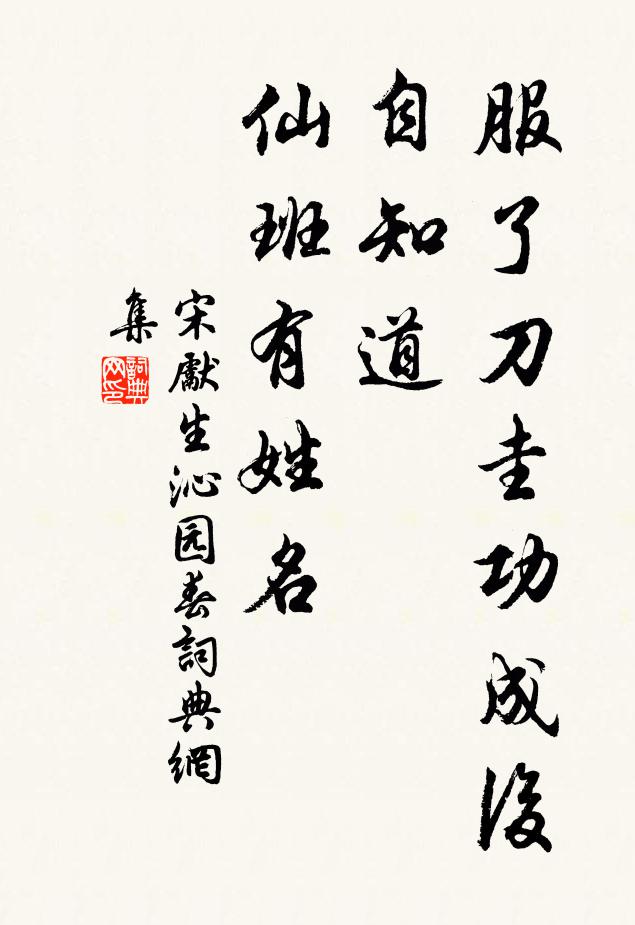 宋先生服了刀圭功成后，自知道、仙班有姓名书法作品欣赏