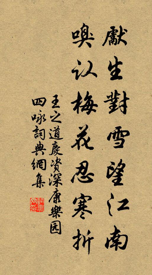 王之道先生对雪望江南，嗅认梅花忍寒折书法作品欣赏