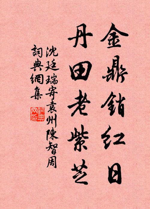 沈廷瑞金鼎销红日，丹田老紫芝书法作品欣赏