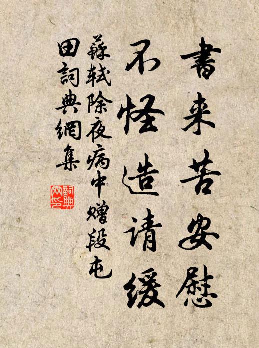 苏轼书来苦安慰，不怪造请缓书法作品欣赏