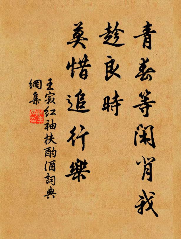 王寂青春等闲背我，趁良时、莫惜追行乐书法作品欣赏